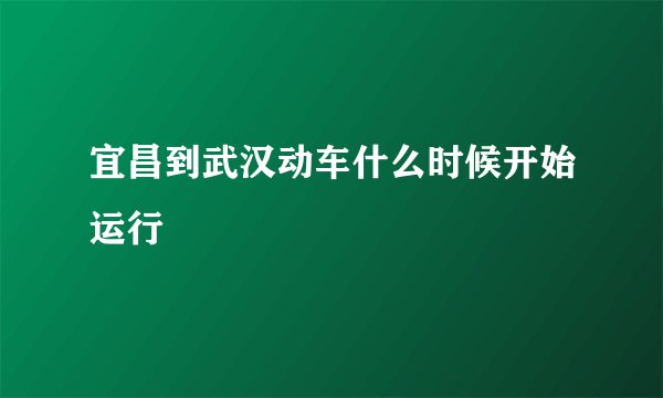 宜昌到武汉动车什么时候开始运行