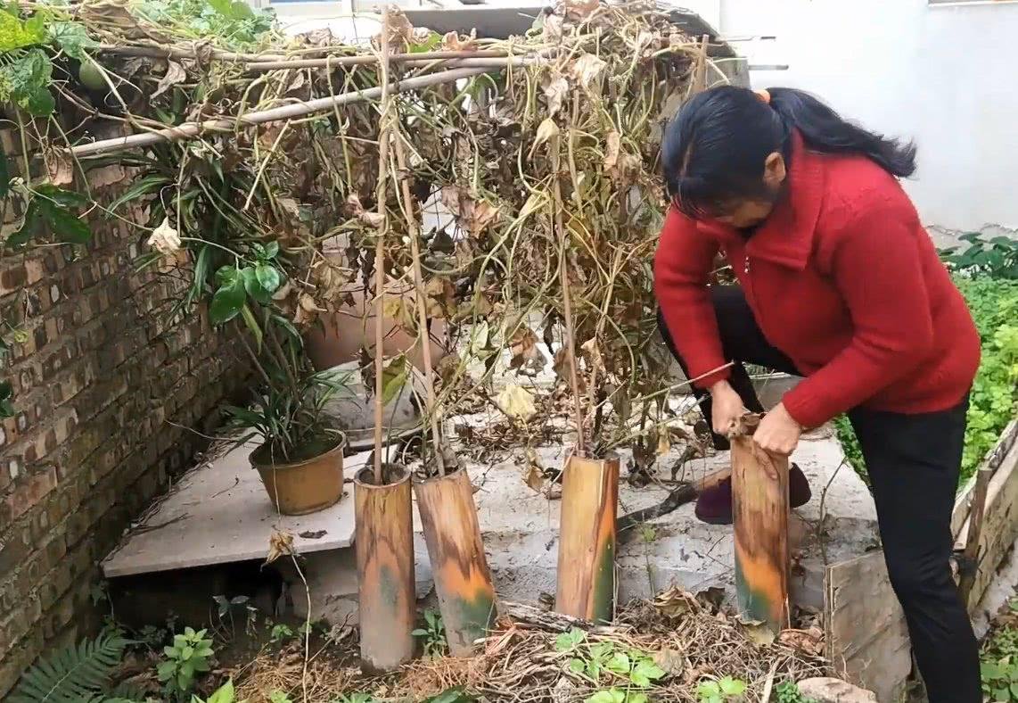 大妈为消灭虱子用敌敌畏洗头进医院,这样会伤害头皮吗?