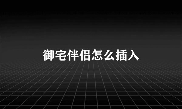 御宅伴侣怎么插入