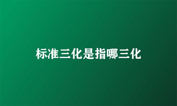 标准三化是指哪三化
