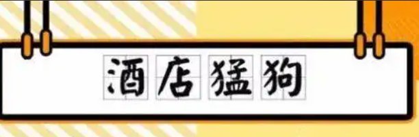 “酒店猛狗”是什么意思？