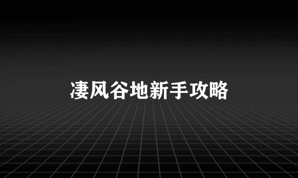 凄风谷地新手攻略