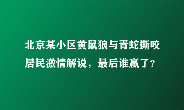 北京某小区黄鼠狼与青蛇撕咬居民激情解说，最后谁赢了？