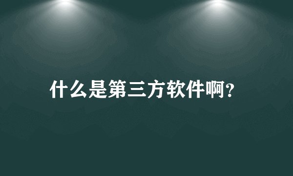什么是第三方软件啊？