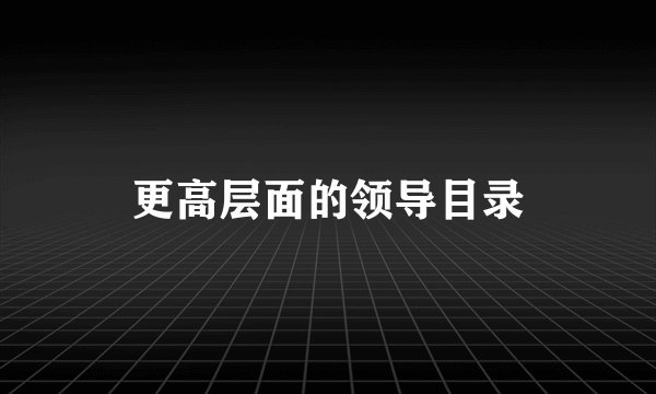更高层面的领导目录