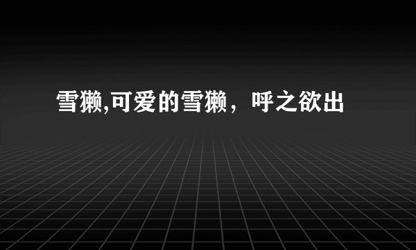 雪獭,可爱的雪獭，呼之欲出