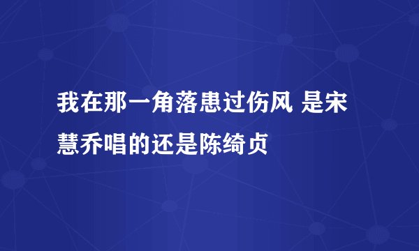 我在那一角落患过伤风 是宋慧乔唱的还是陈绮贞