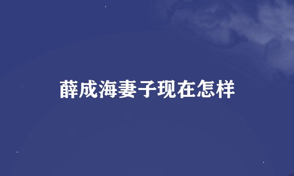 薛成海妻子现在怎样