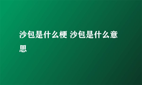 沙包是什么梗 沙包是什么意思