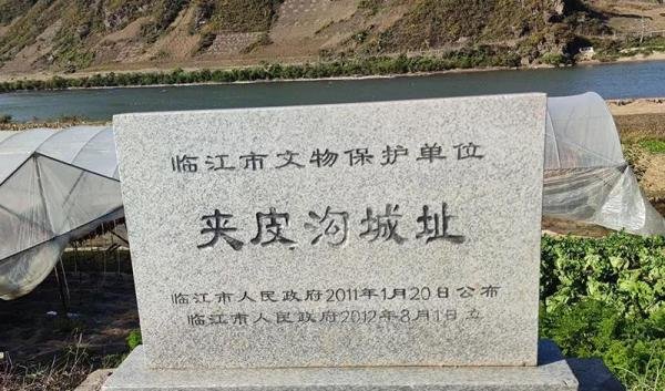 关东台片原来是这种植物,换个名称居然不认识