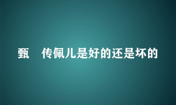 甄嬛传佩儿是好的还是坏的
