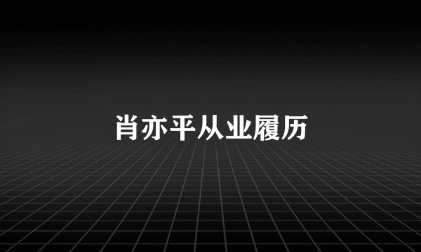 肖亦平从业履历