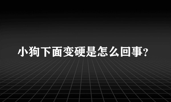 小狗下面变硬是怎么回事?