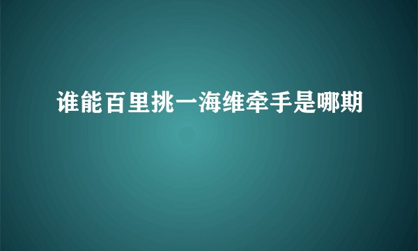 谁能百里挑一海维牵手是哪期