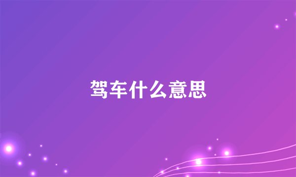 驾车什么意思