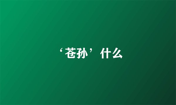 ‘苍孙’什么
