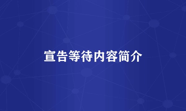 宣告等待内容简介