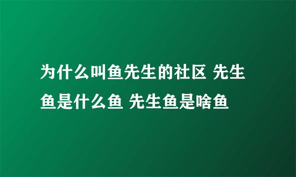 为什么叫鱼先生的社区 先生鱼是什么鱼 先生鱼是啥鱼