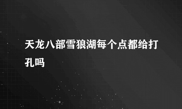 天龙八部雪狼湖每个点都给打孔吗