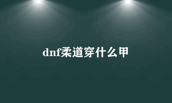 dnf柔道穿什么甲
