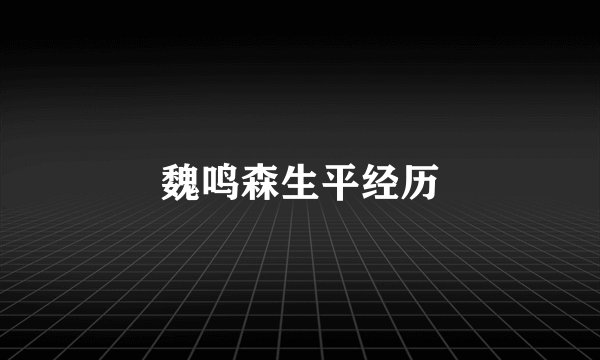 魏鸣森生平经历