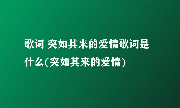 歌词 突如其来的爱情歌词是什么(突如其来的爱情)