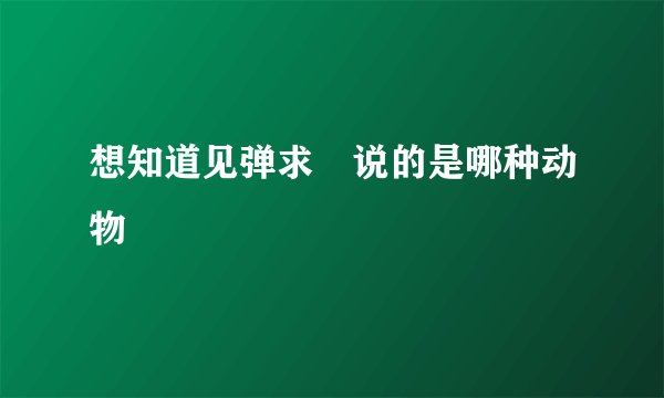 想知道见弹求鸮说的是哪种动物