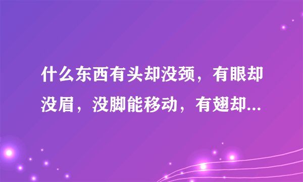 什么东西有头却没颈，有眼却没眉，没脚能移动，有翅却无法飞？