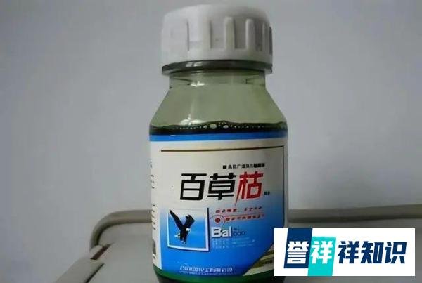 高校教师被同事在水杯中投毒,警方已刑拘涉案博士