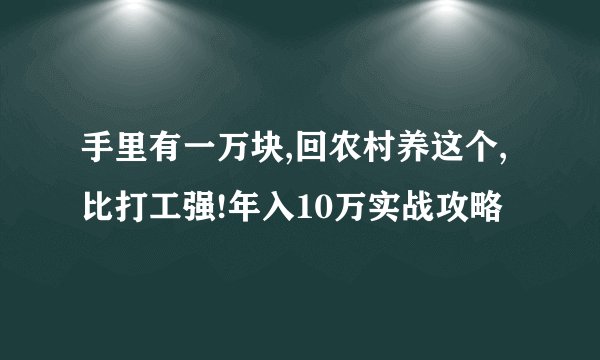 手里有一万块,回农村养这个,比打工强!年入10万实战攻略