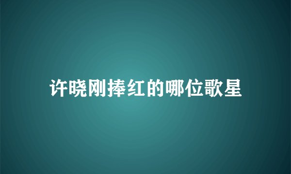 许晓刚捧红的哪位歌星