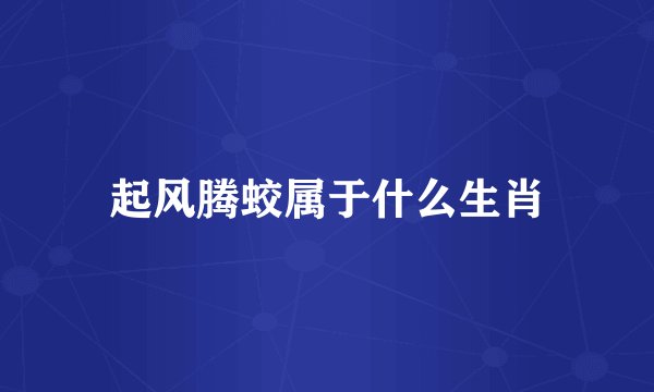 起风腾蛟属于什么生肖