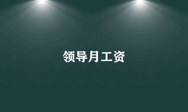 领导月工资