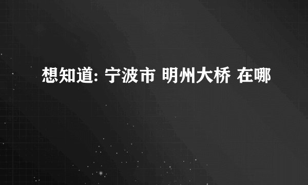 想知道: 宁波市 明州大桥 在哪
