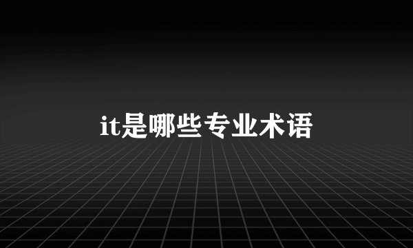 it是哪些专业术语