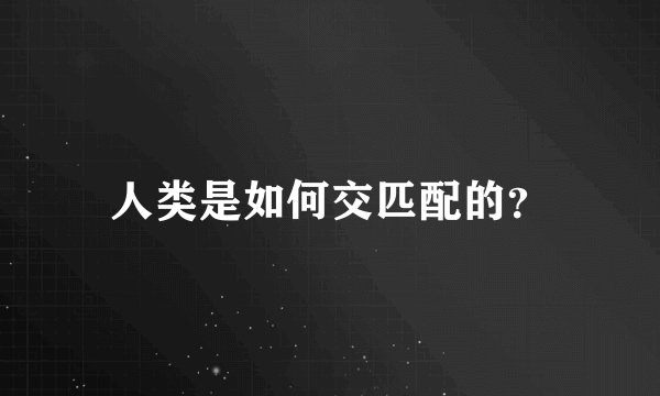 人类是如何交匹配的?