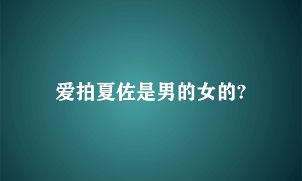 爱拍夏佐是男的女的?