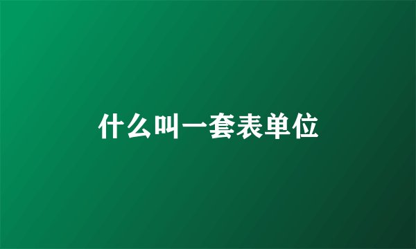 什么叫一套表单位
