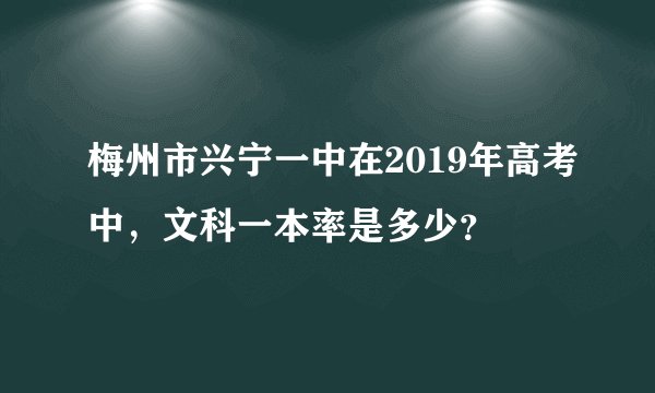 梅州市兴宁一中在2019年高考中，文科一本率是多少？