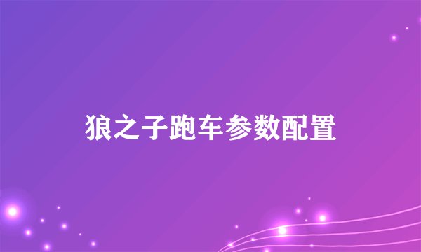 狼之子跑车参数配置