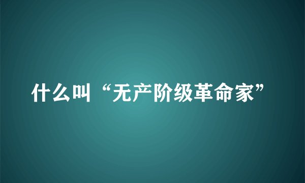 什么叫“无产阶级革命家”