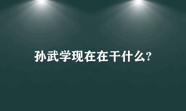 孙武学现在在干什么?