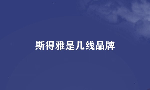 斯得雅是几线品牌