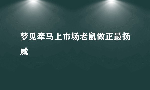 梦见牵马上市场老鼠做正最扬威