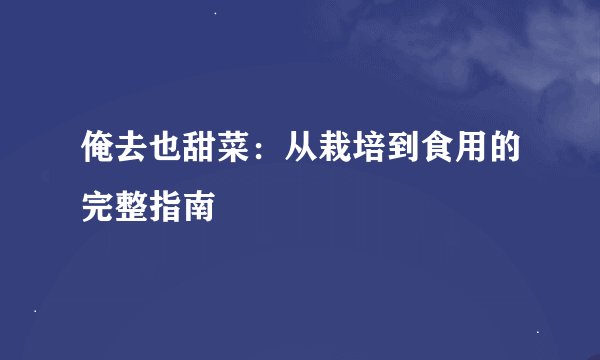 俺去也甜菜：从栽培到食用的完整指南