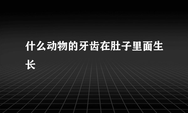 什么动物的牙齿在肚子里面生长