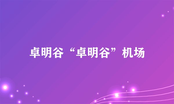卓明谷“卓明谷”机场