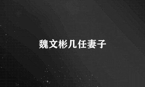 魏文彬几任妻子