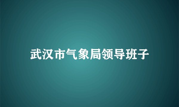 武汉市气象局领导班子
