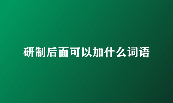 研制后面可以加什么词语